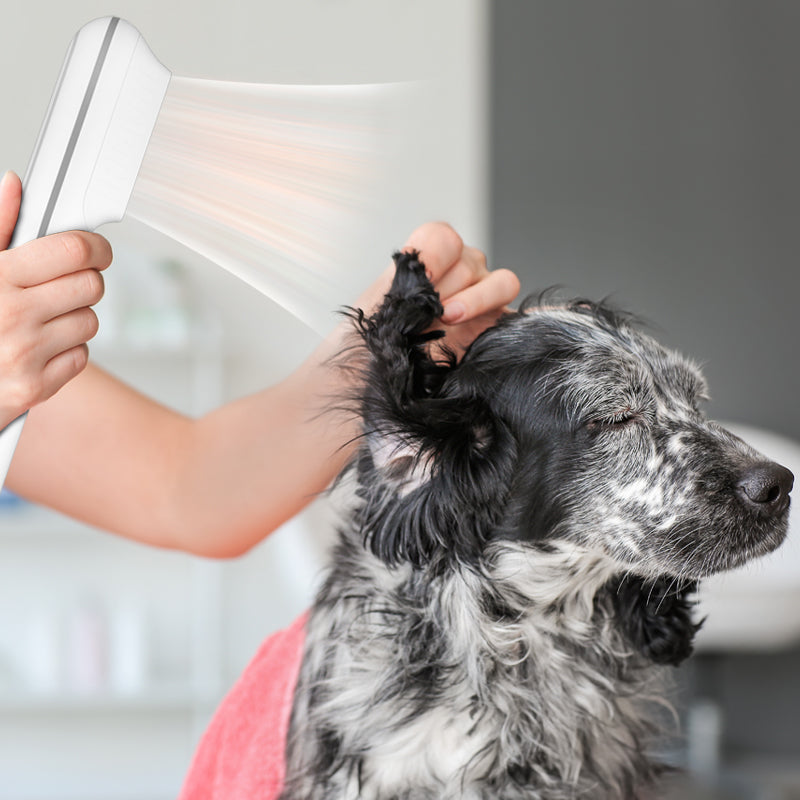 Waterblazer / Föhn voor hond en kat