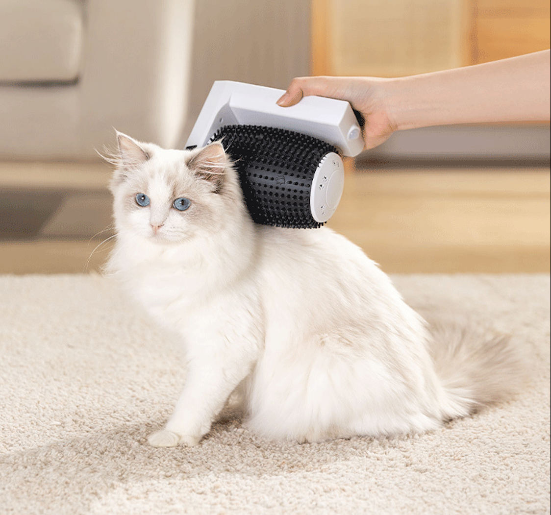 Automatic brush