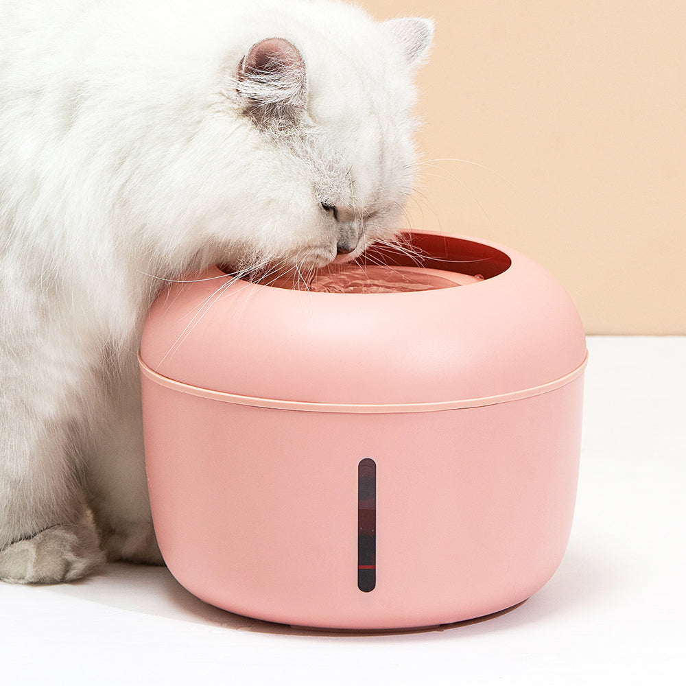 Drinking fountain with filter