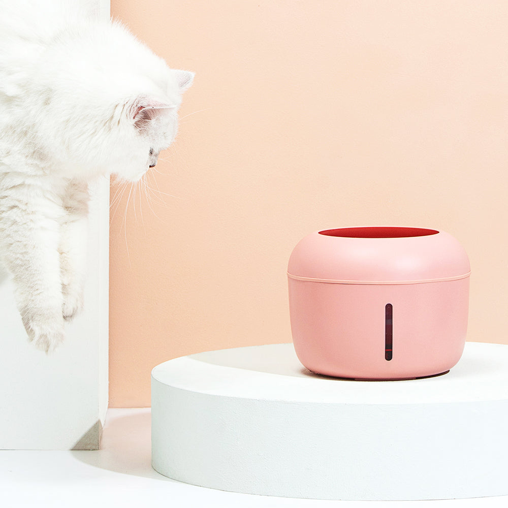 Drinking fountain with filter