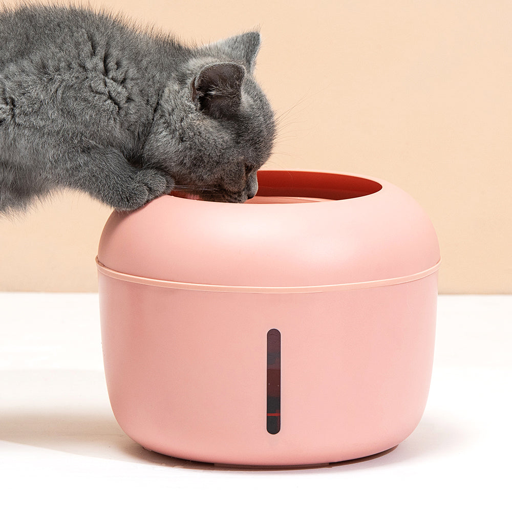 Drinking fountain with filter