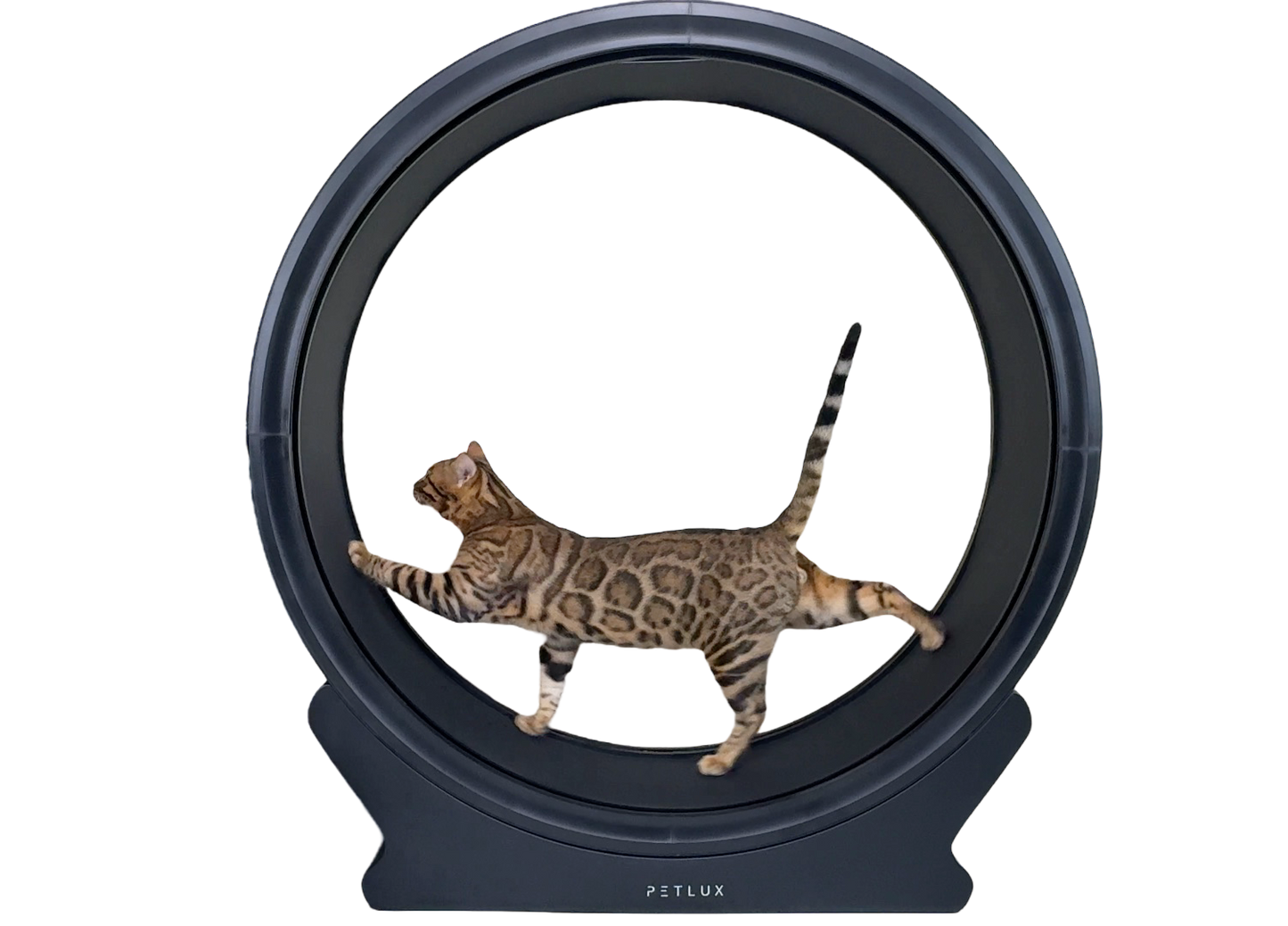 Loopwiel V2