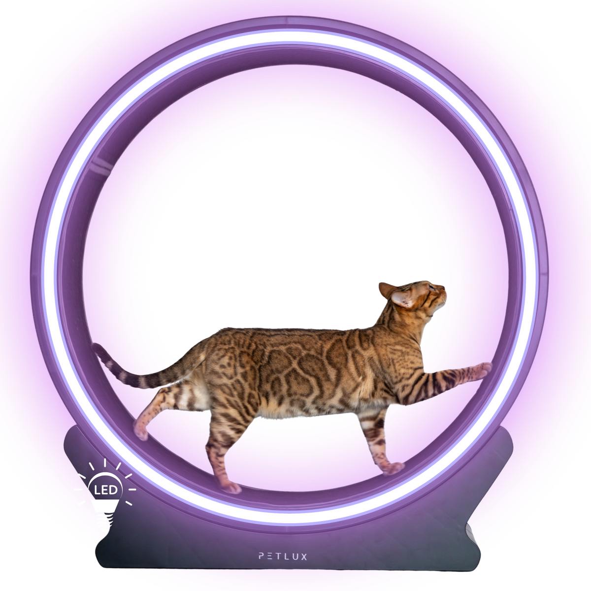 Set ringen Loopwiel V2