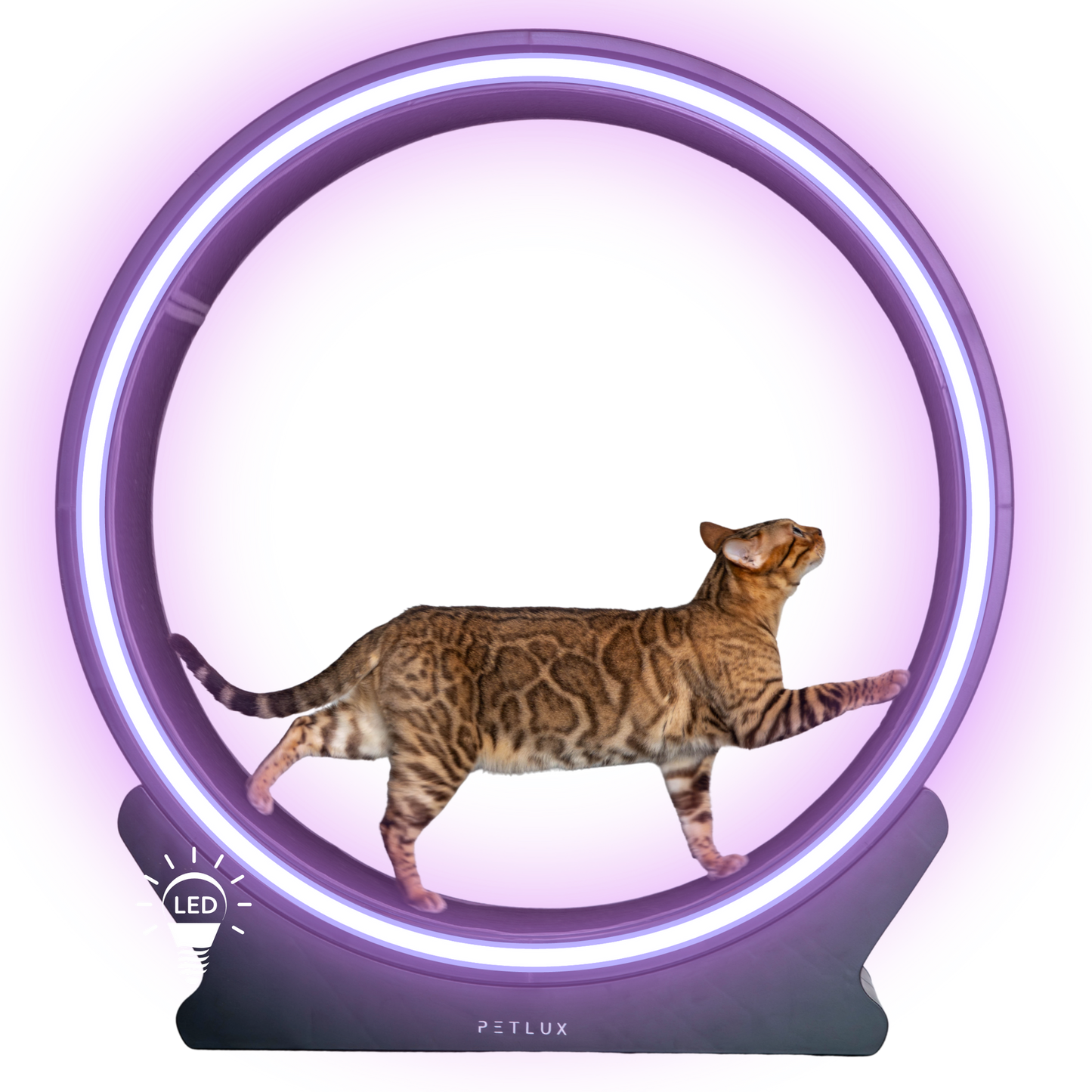 Set ringen Loopwiel V2