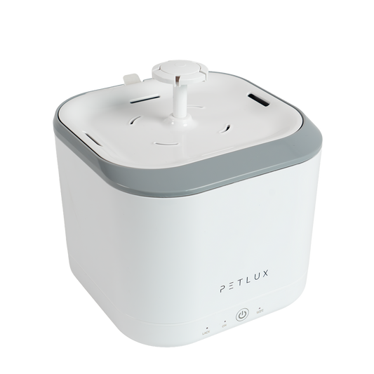 Drinkfontein met App