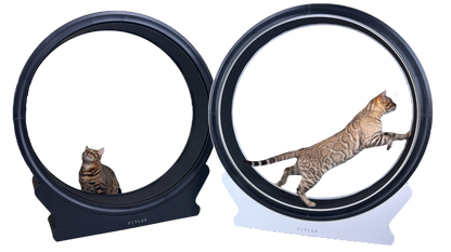 Loopwiel V2