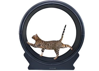 Loopwiel V2